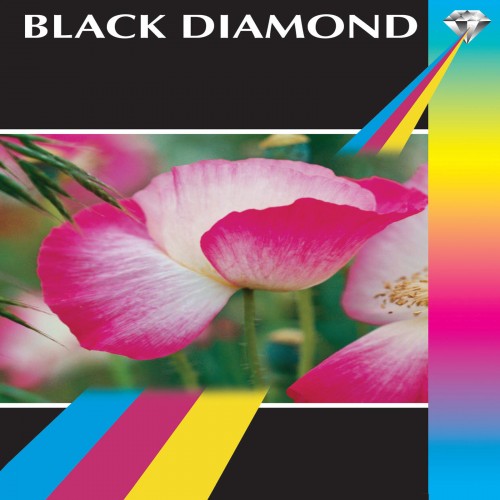 500 Sheets Photo Paper Wholesale - Multi Papers