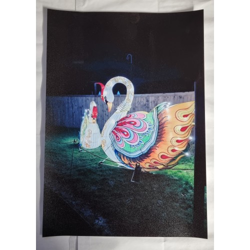 Hands Professional Photo Paper 6x4 Rough Satin Paper 260gsm