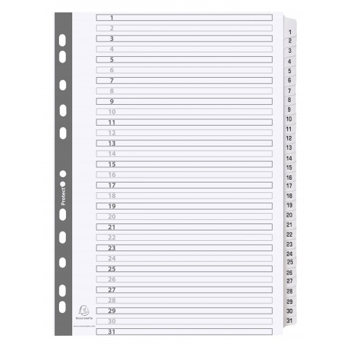 Exacompta Mylar Printed 160 GSM Indices A4 31 Part 1 to 31 Numbered Tabs